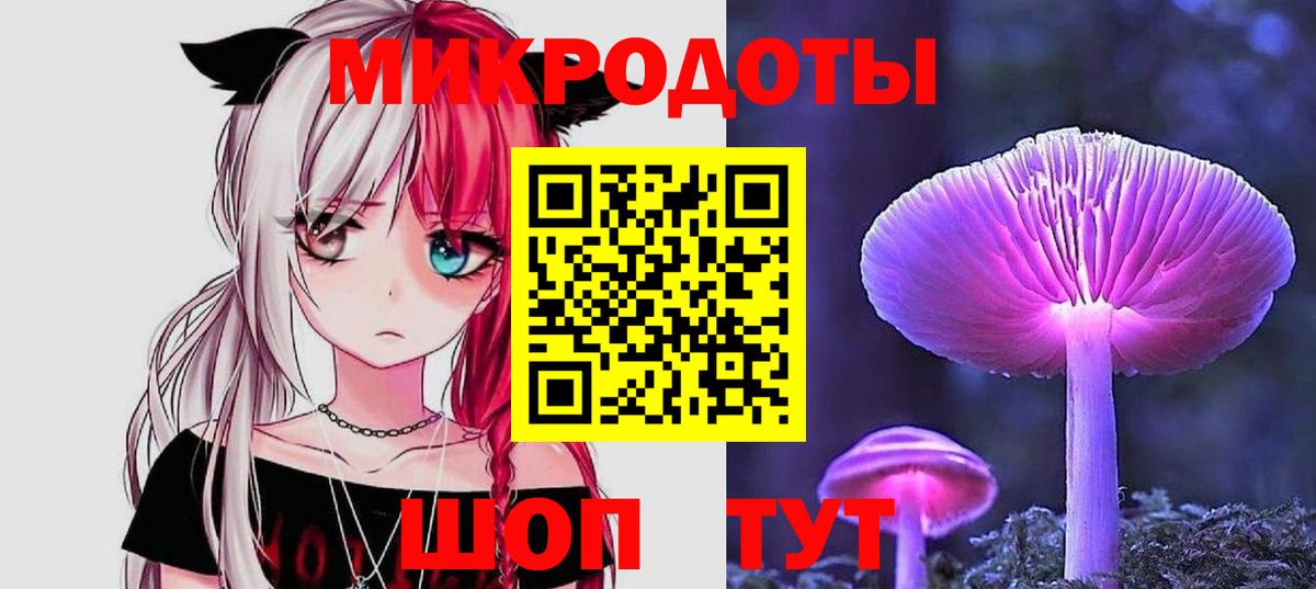 Псилоцибиновые грибы Cubensis Знаменск