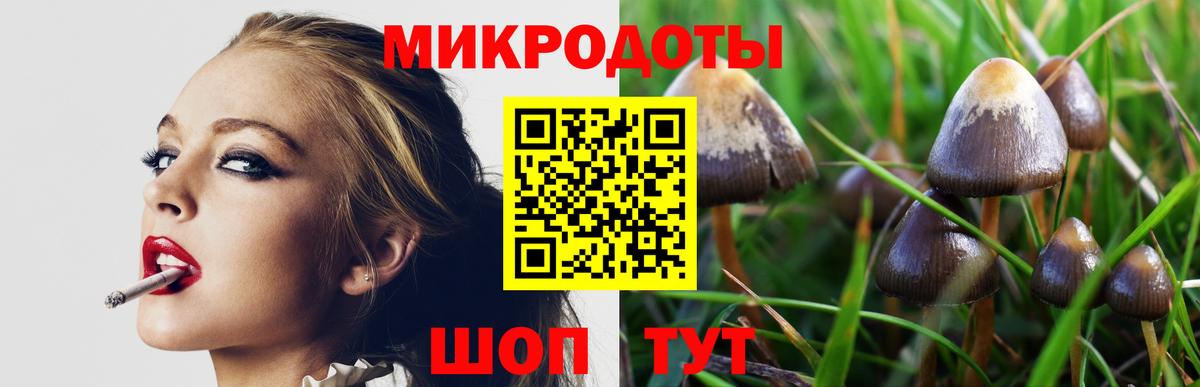 Галлюциногенные грибы прущие грибы  Вход с VPN  Знаменск  Псилоцибиновые грибы Magic Shrooms 